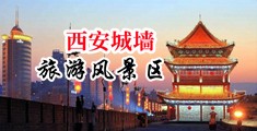 操操操日日日屄屄屄屌屌屌大屌操屄中国陕西-西安城墙旅游风景区